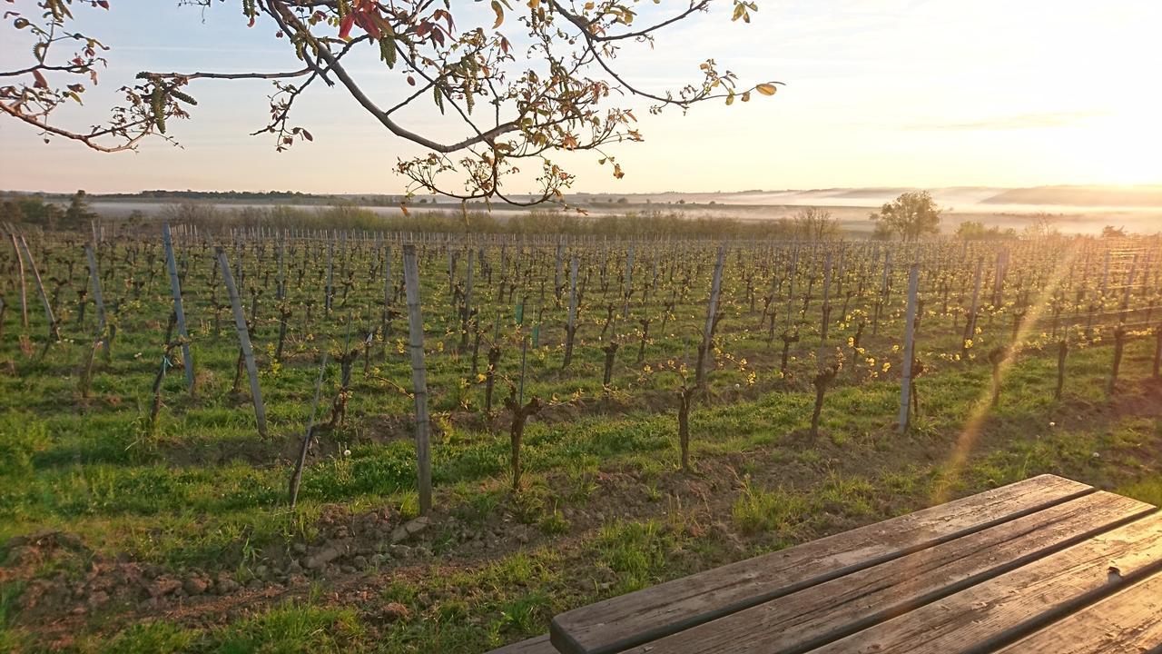 Weingut Familie Bauer Hotel Grossriedenthal Exterior photo